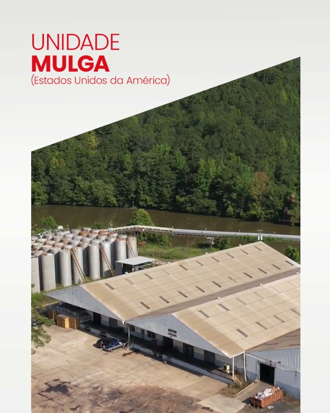 UNIDADE MULGA